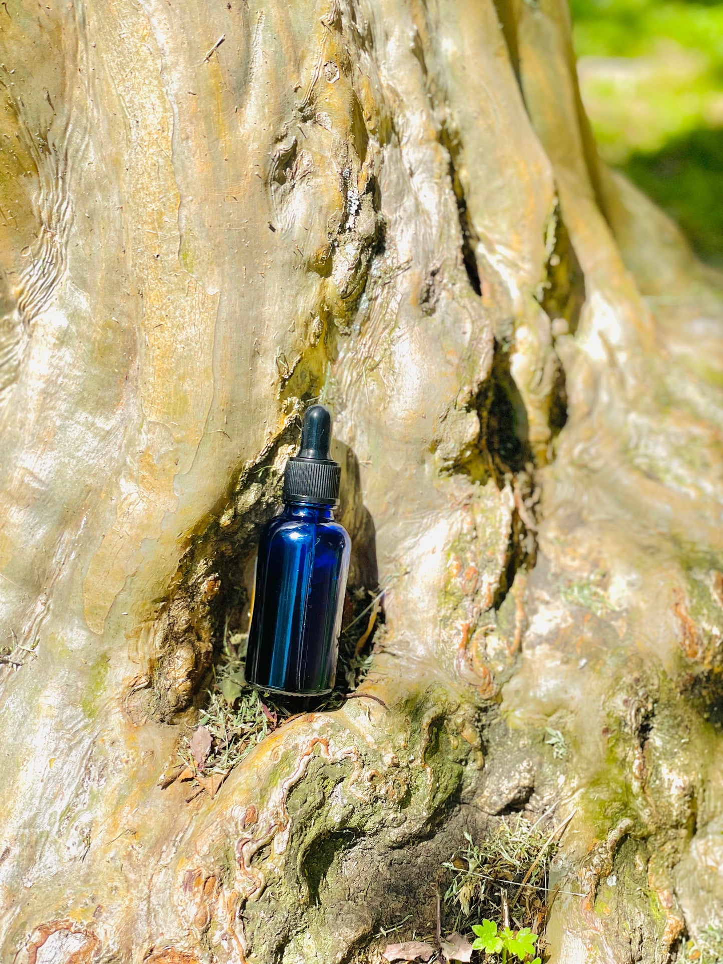 Beard Oil